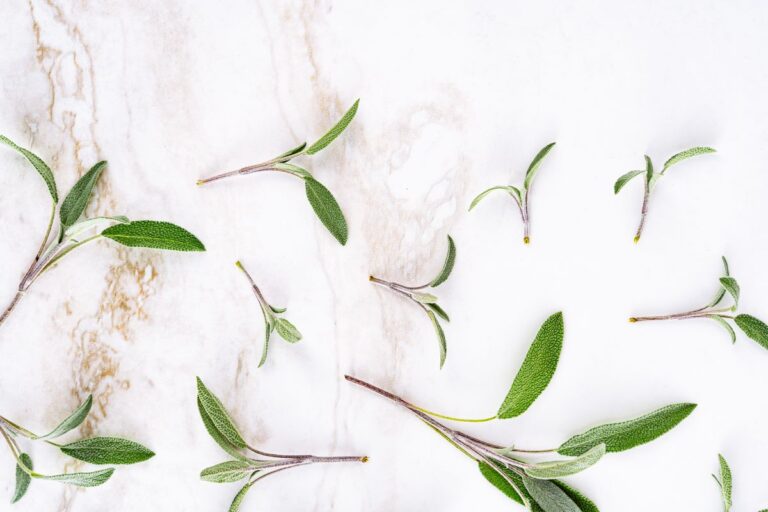 Brahmi Focus Blend